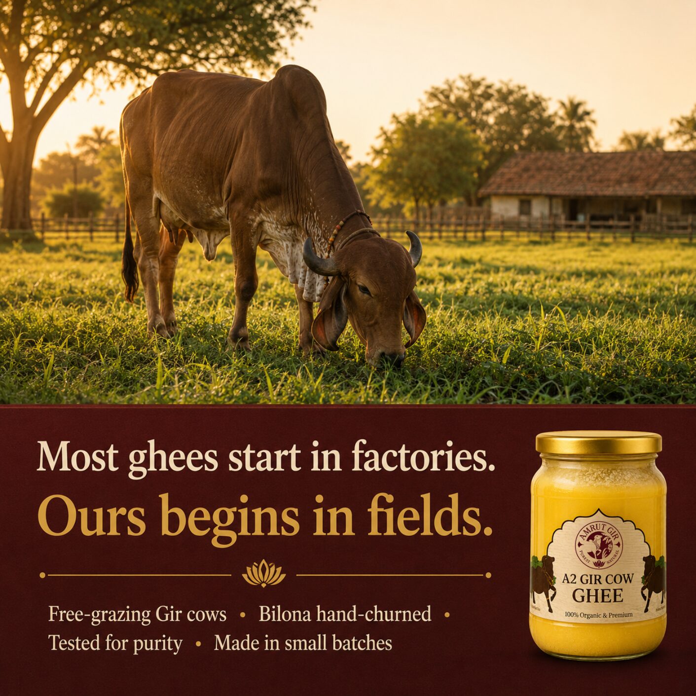 Amrut Gir Ghee
